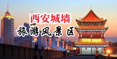 变态搞鸡巴视频网站!中国陕西-西安城墙旅游风景区